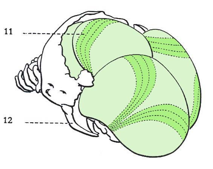 illustration 2