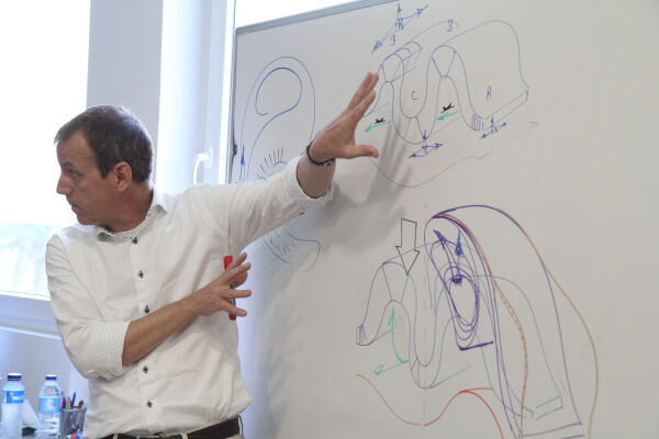Jean-Paul Höppner Morphologicum