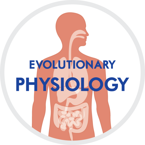 Evolutionary physiology main image