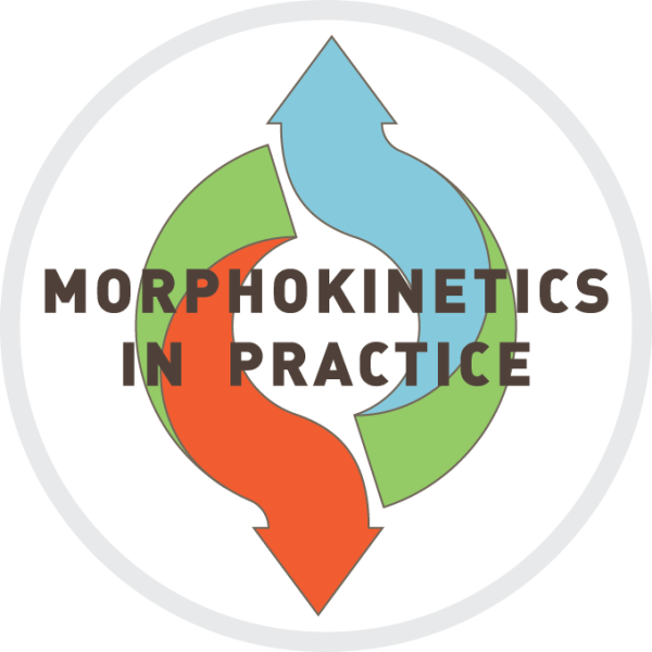 Morphokinetics in practice main image